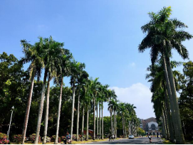 太阳城网址